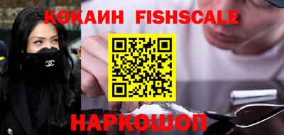 гашик Будённовск