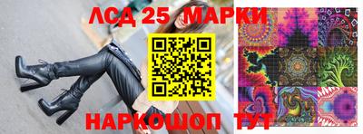 гашик Будённовск