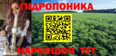 гашик Будённовск