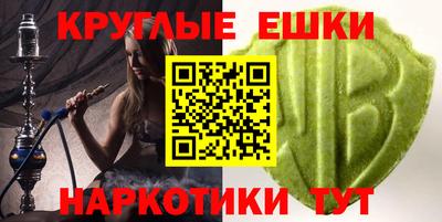 гашик Будённовск
