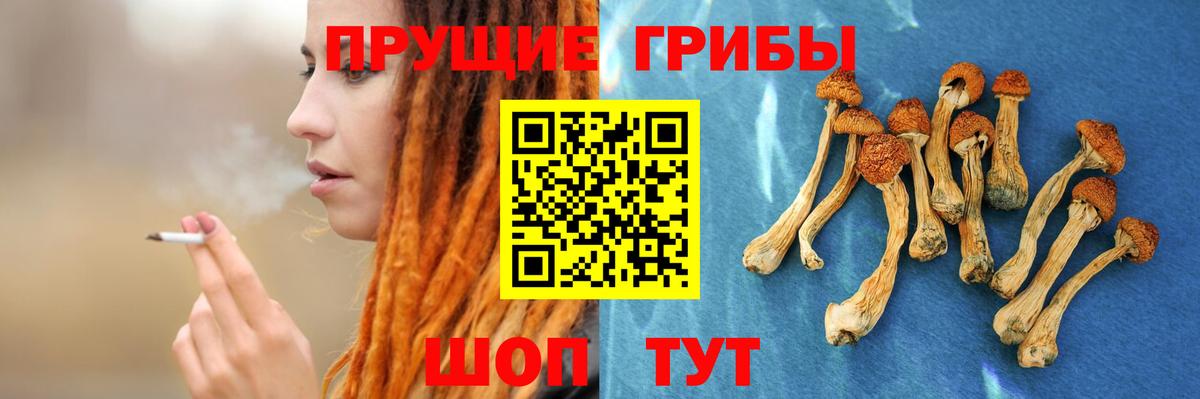 Спасск-Дальний  Галлюциногенные грибы мицелий  Вход с VPN 